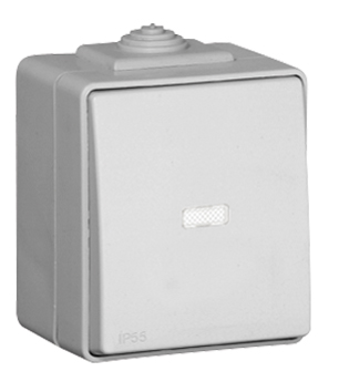 Botão Basculante Luminoso de 12V